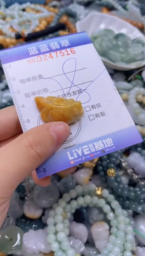 翡翠未镶嵌颈饰闪购0247516