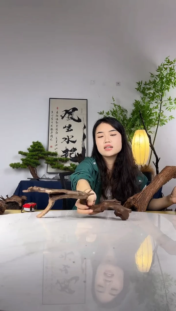 呆*熊拍这个定向编号26
