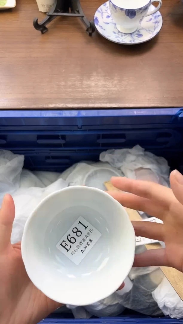 【闪购商品】瓷片----------E681