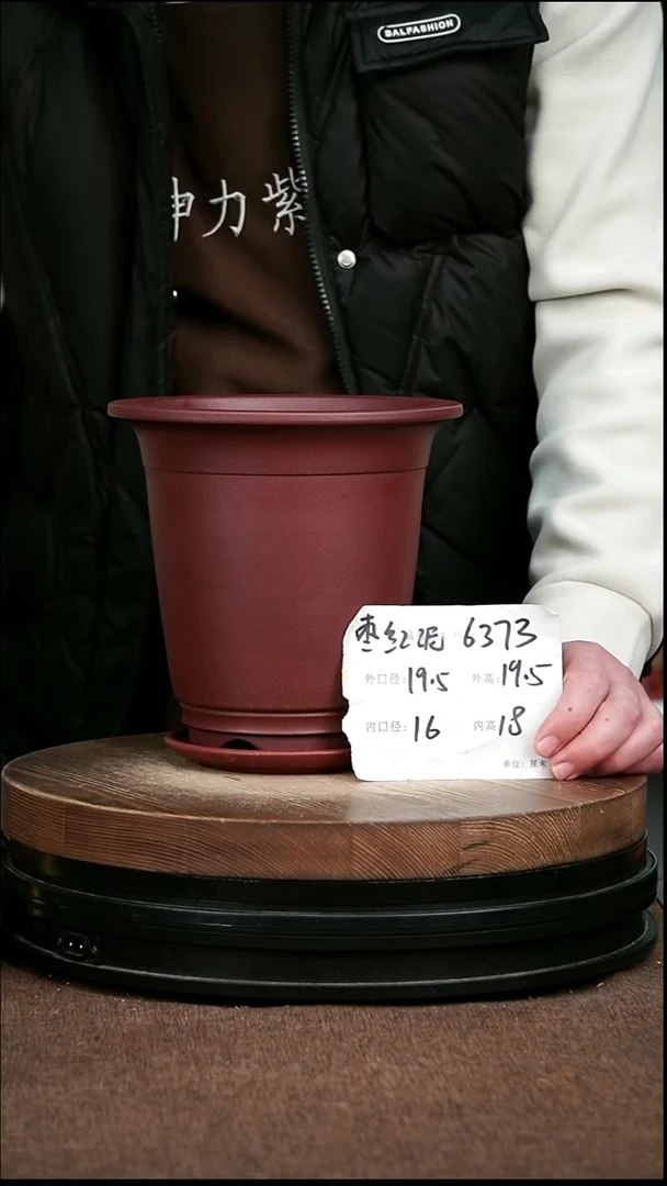 紫砂花盆花卉园艺6373+Z