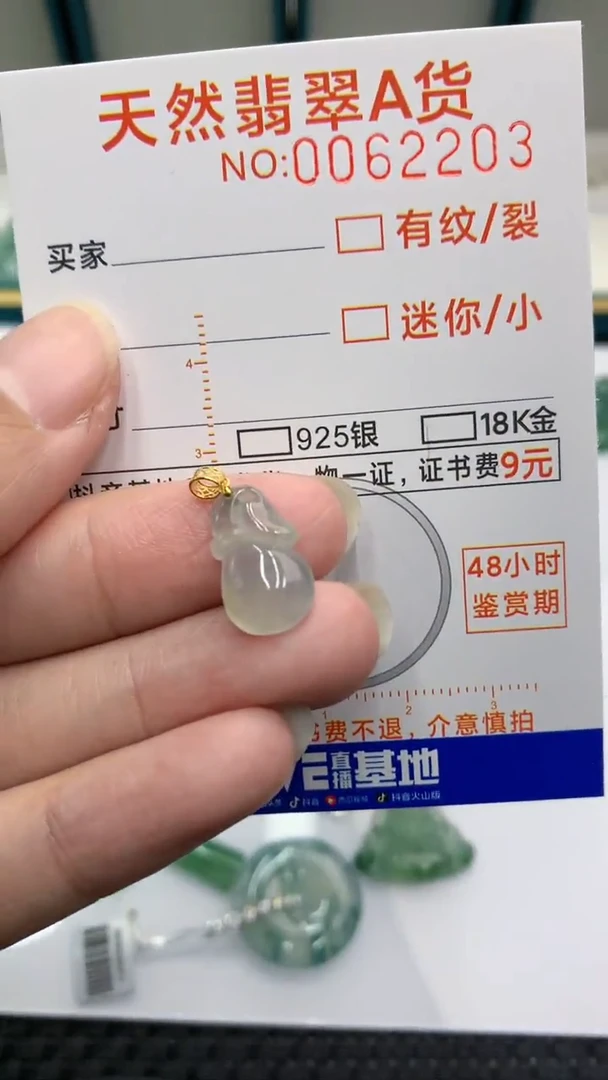 【闪购商品】翡翠颈饰18K金镶嵌            8