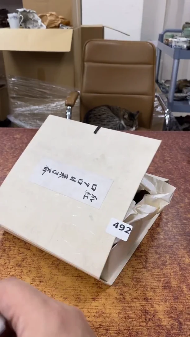 瓷片492小林轩欢迎您