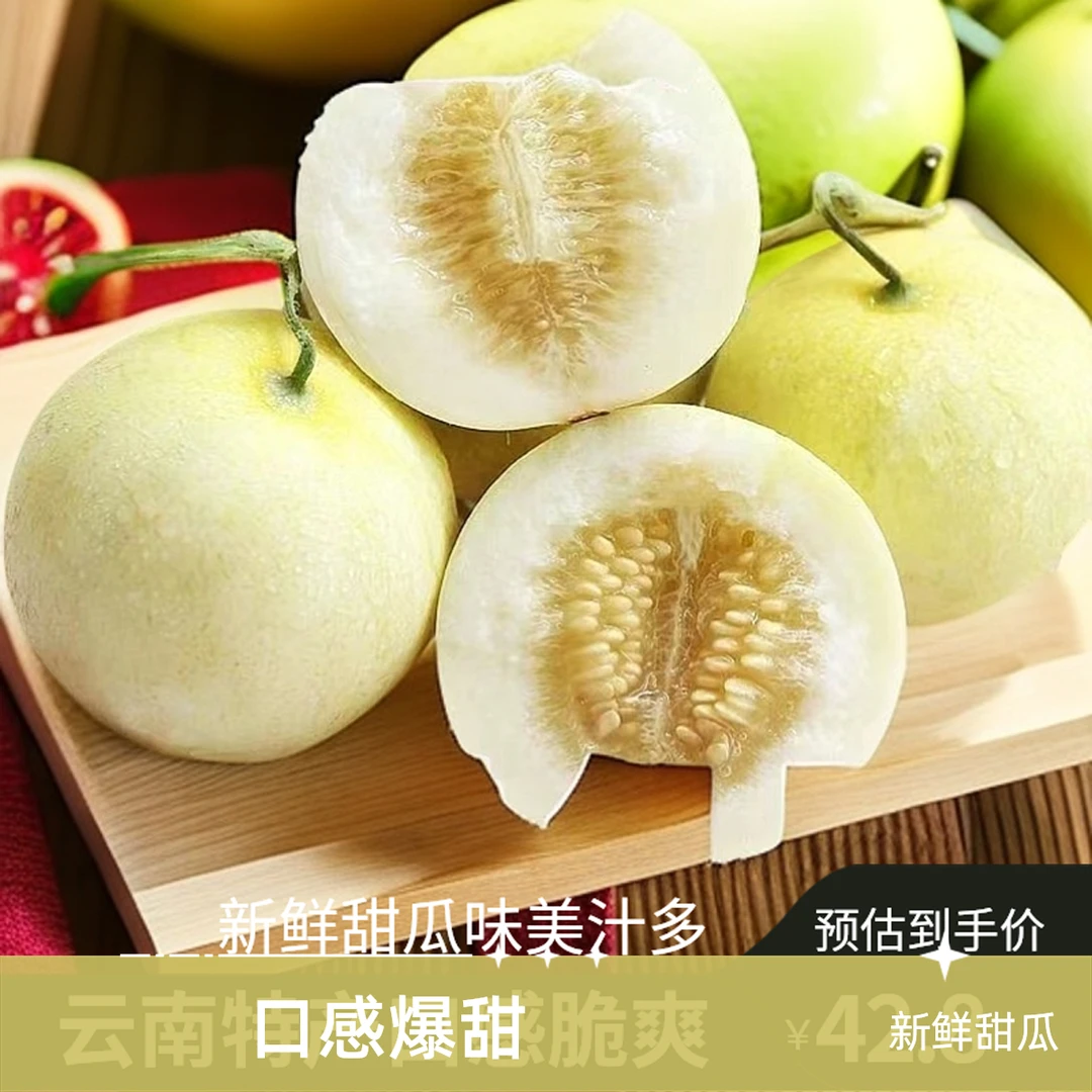 云南郁金香甜瓜香甜脆爽多汁新鲜水果老式香瓜现露天头茬瓜