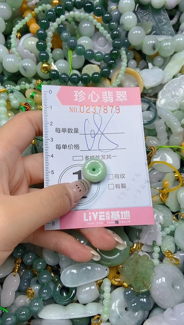 翡翠未镶嵌颈饰闪购0237879