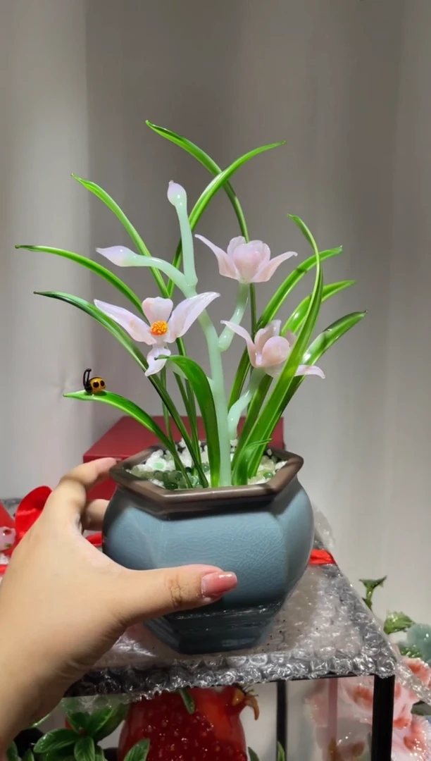 琉璃28兰花