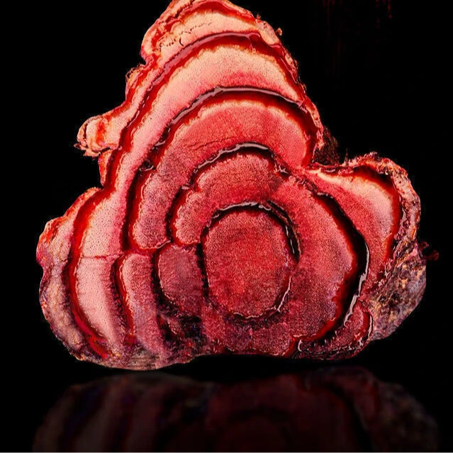 云南深山血藤包邮到家