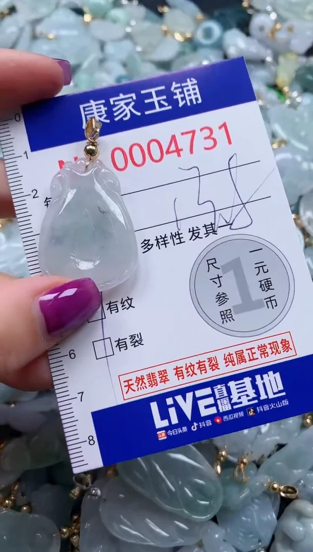 颈饰未镶嵌翡翠4731