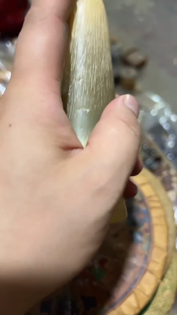紫砂紫砂紫砂紫砂紫砂紫砂