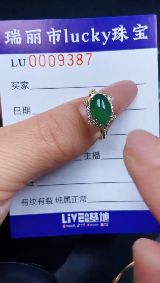 翡翠银S925镶嵌颈饰9387