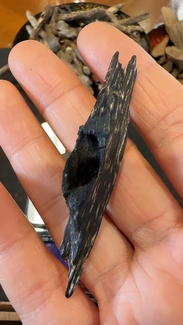 香料柬埔寨沉水虫漏2.3g