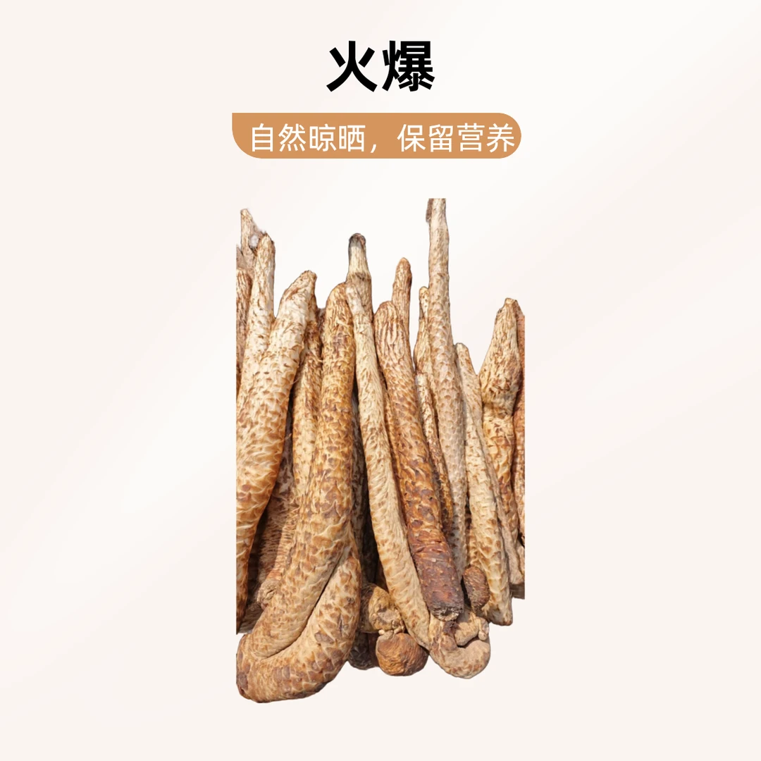 精选内蒙阿拉善肉苁蓉        周