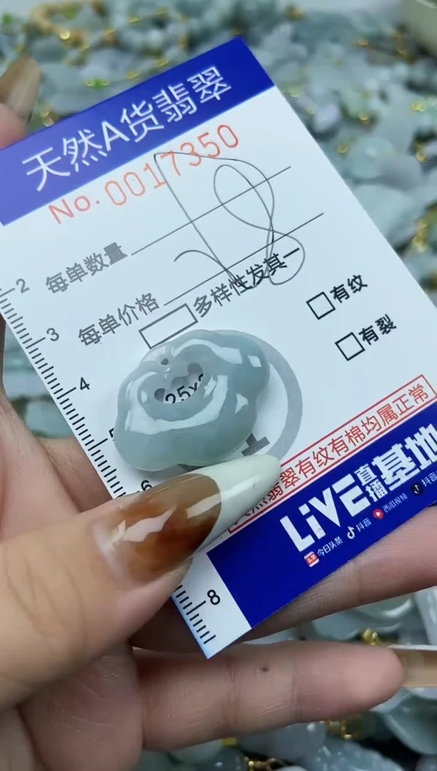 【闪购商品】翡翠颈饰未镶嵌天然A货翡翠