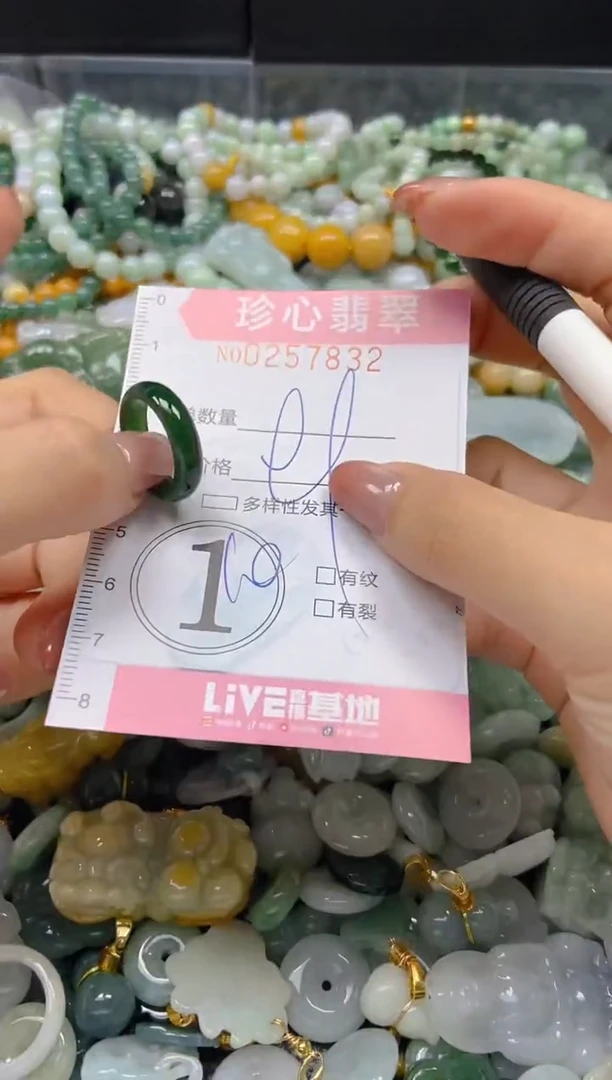 翡翠未镶嵌颈饰闪购0257832