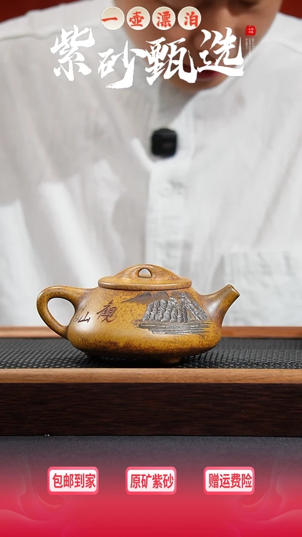 茶壶紫砂 一壶漂泊紫砂茶器3023