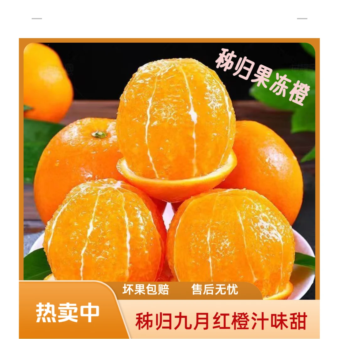 《坏果包赔》正宗秭归当季新鲜水果脐橙九月红果冻甜橙果肉细腻爆汁
