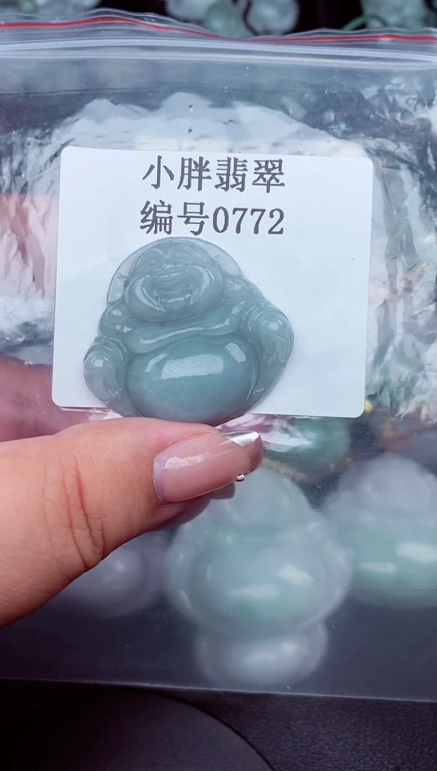 翡翠未镶嵌颈饰缅甸天然A货翡翠0772