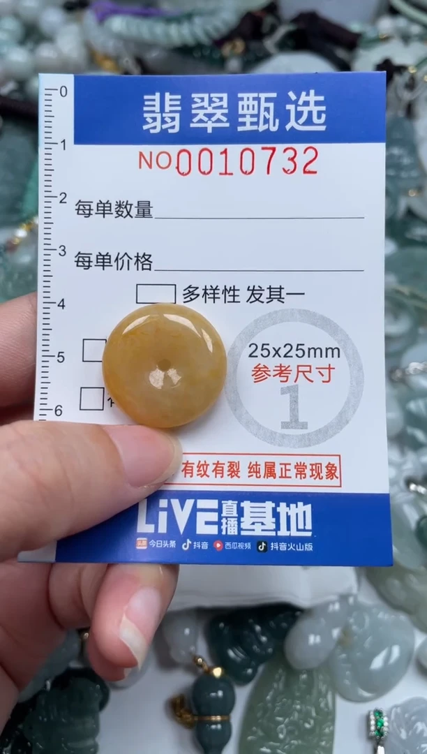 颈饰未镶嵌翡翠10732