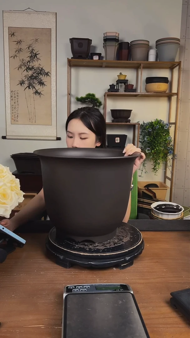 35*27金钟紫檀色2只装