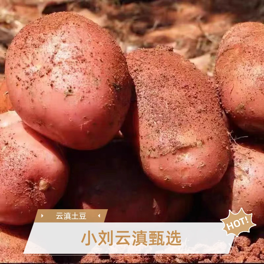 小刘云滇甄选-土豆