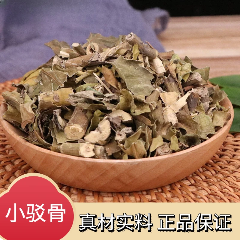 野生小驳骨新鲜干货驳骨丹还魂草接骨木大骨风自然晒干散装叶菜