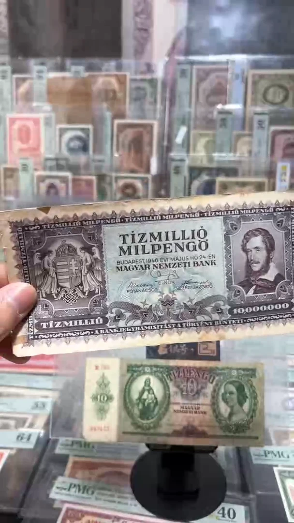 【闪购商品】纸小马直播间包邮福利!!!