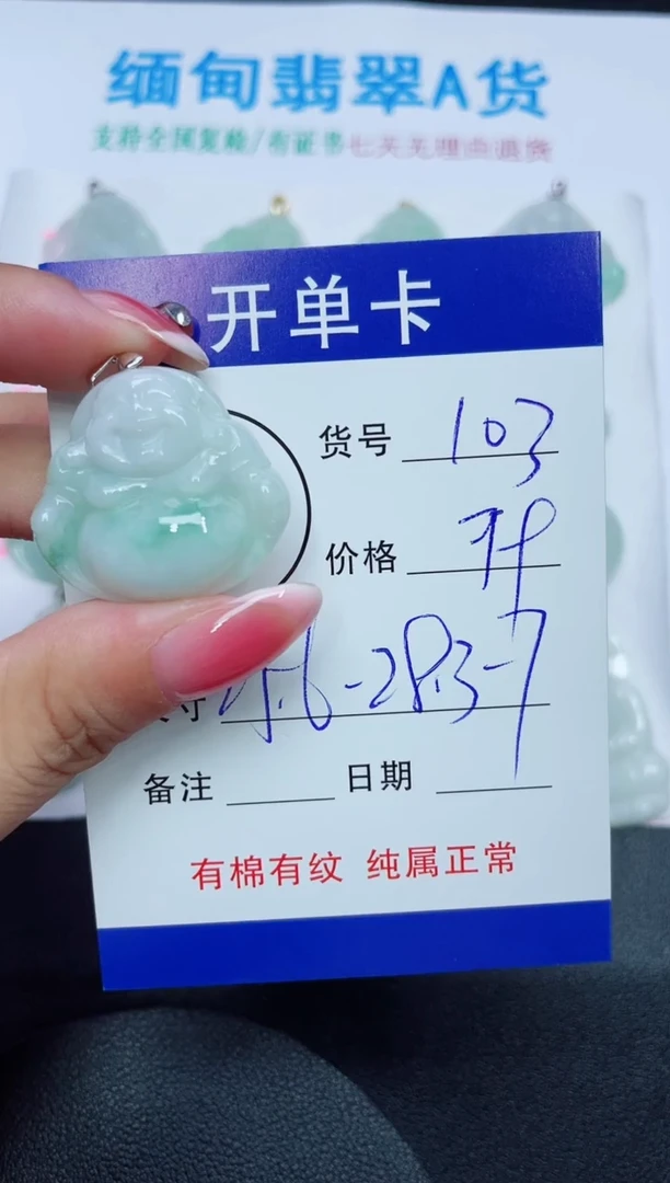 翡翠未镶嵌吊坠(赠链)103