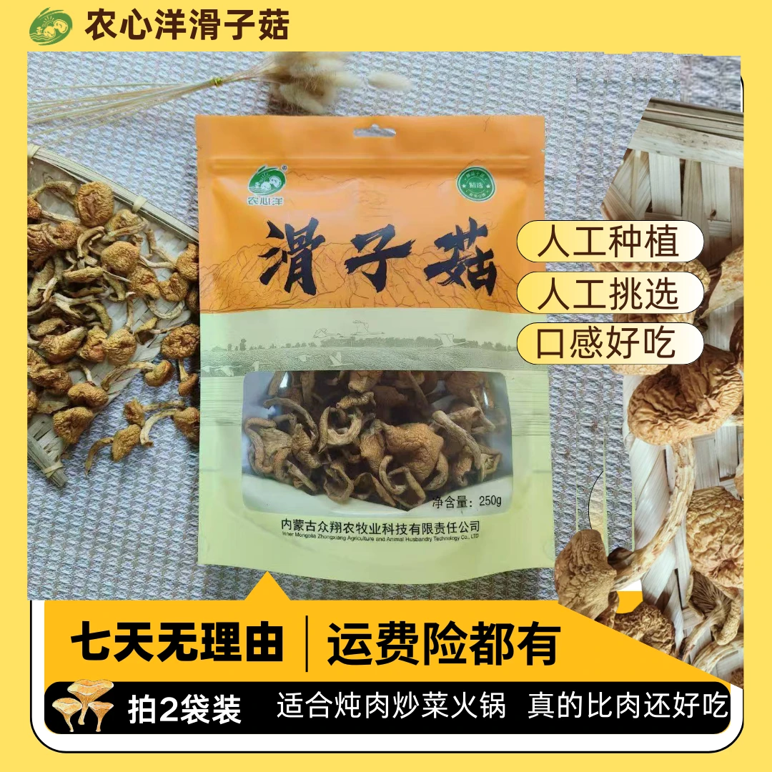 (滑子菇)农心洋滑子菇源头厂家人工种植无添加适合炖肉炒菜火锅
