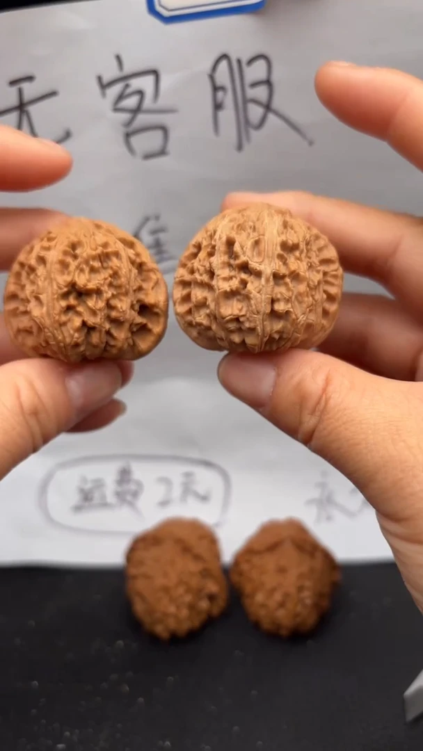 把件文玩核桃281白狮子