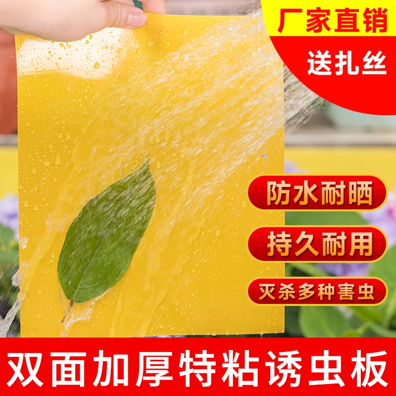 【厂家直销】黄板双面粘虫板诱虫板贴纸强力小飞虫沾果蝇诱捕捉蚊子