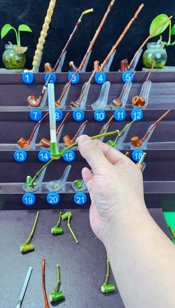 木檬子木的精品小斗