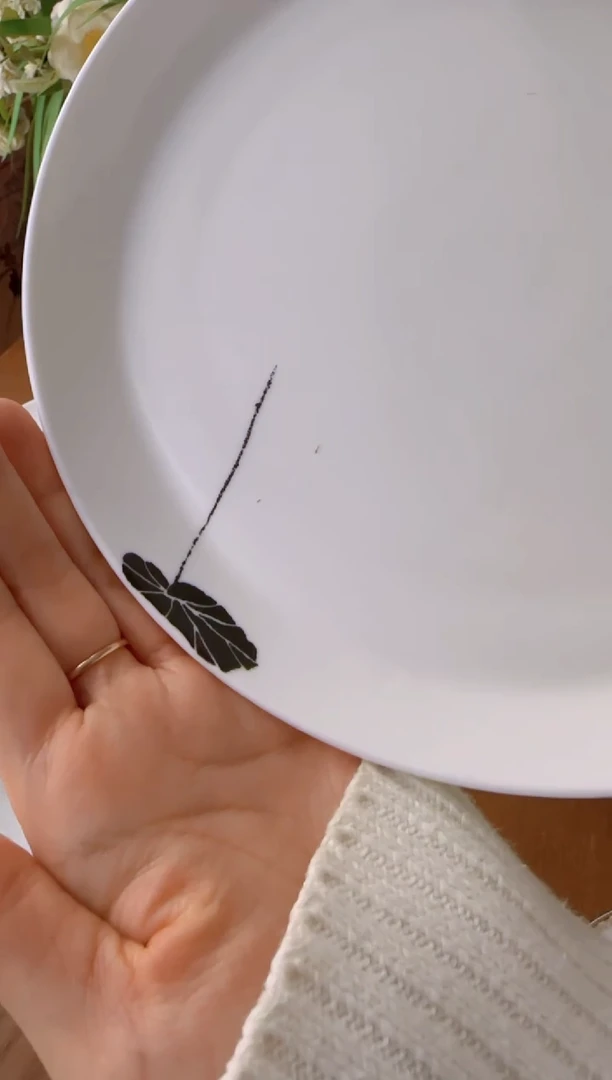 【闪购商品】盘子瓷*****************