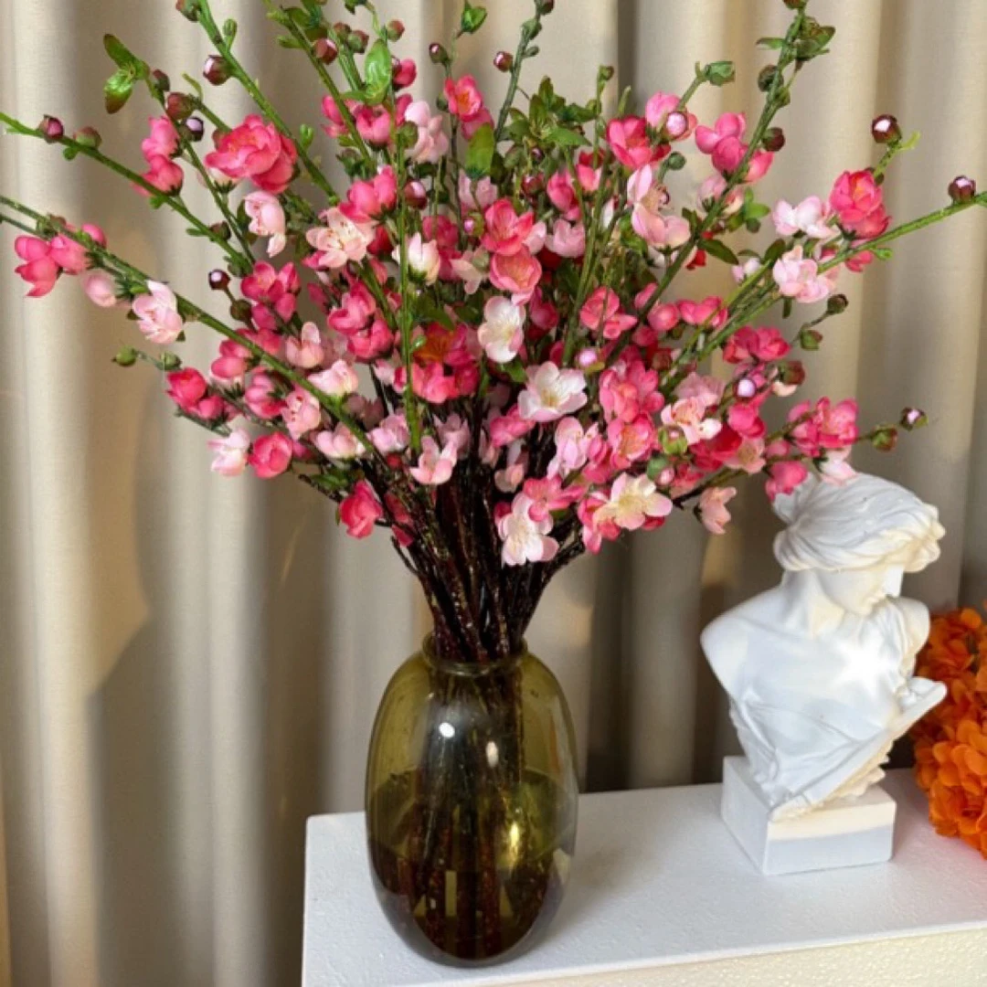 （带花苞）冬季必备遇水开花鲜枝浓香水培梅花枝带花苞室内耐寒