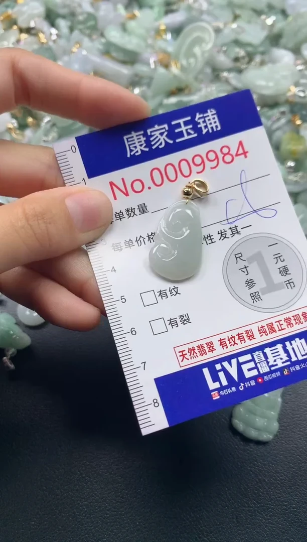 颈饰未镶嵌翡翠9984