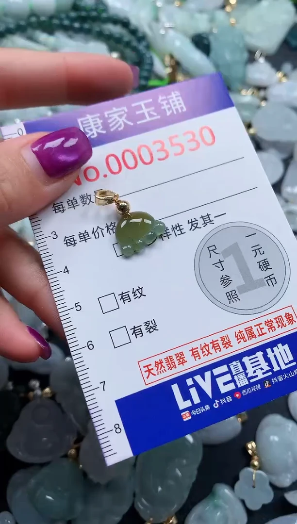 颈饰未镶嵌翡翠3530