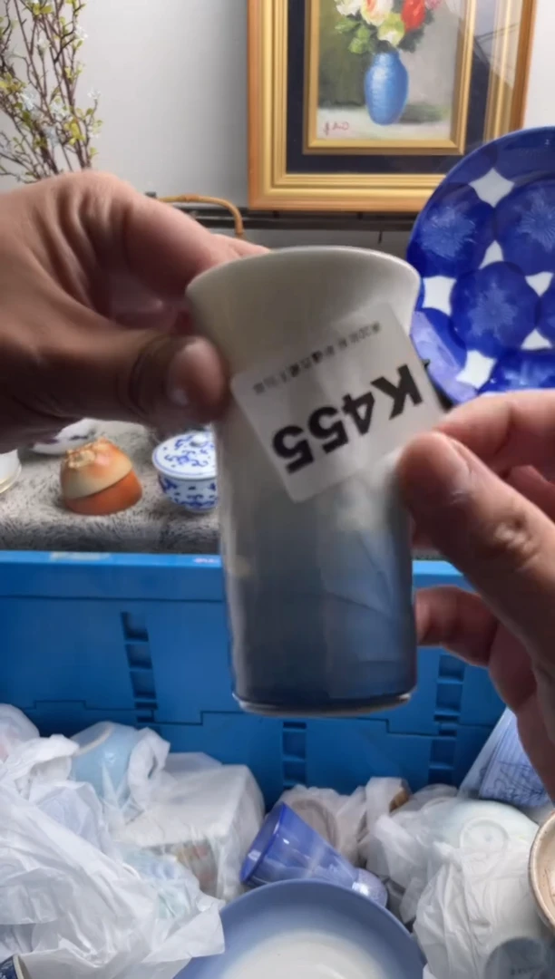 瓷片?*丙455-K-
