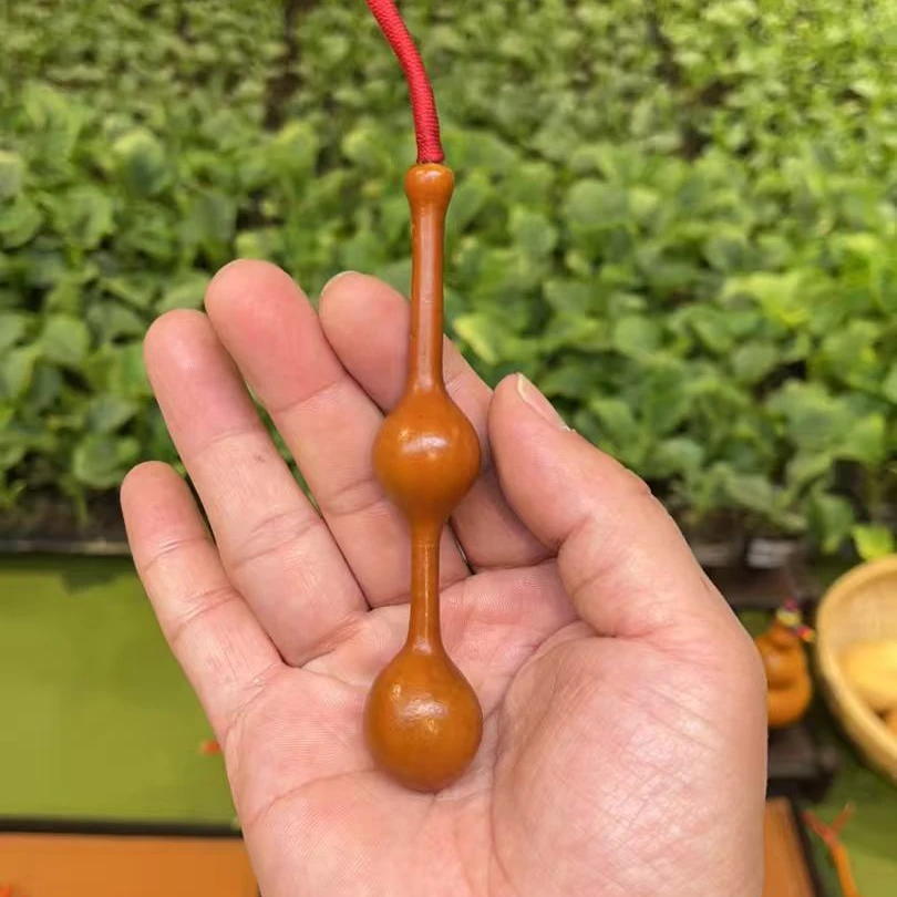三庭葫芦苗+粗嘴葫芦苗——