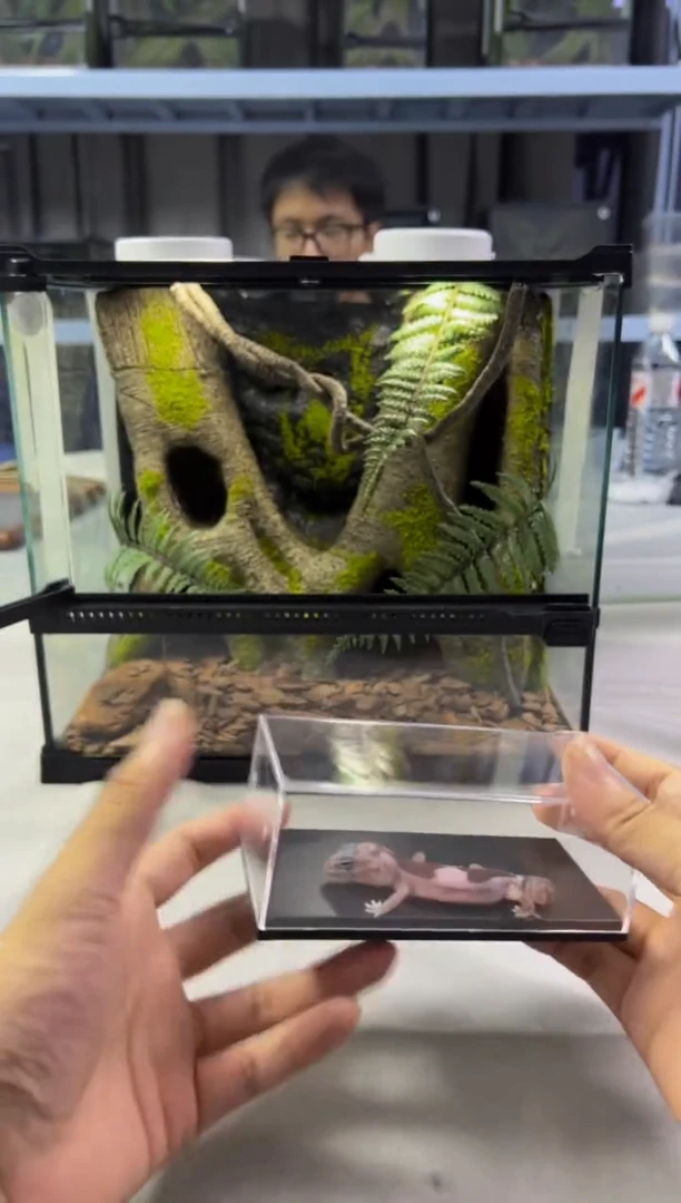 玻璃【长30宽25高27】爬宠造景缸睫角守宫树栖蜘蛛饲养箱爬宠爬虫缸