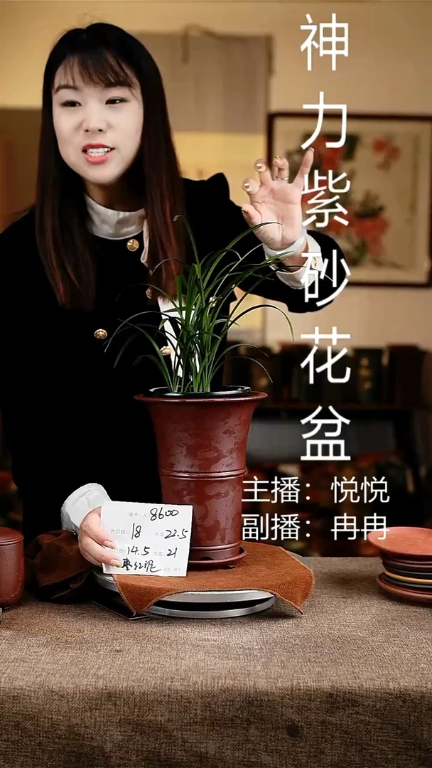 紫砂花盆花卉工艺8600+z