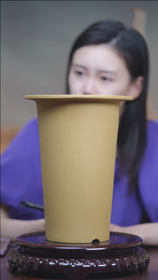 东门人文——蕙兰寒兰盆（小穿线）