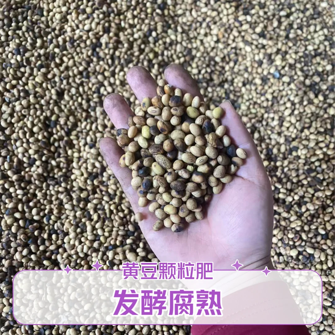 黄豆颗粒发酵有机肥花农自制自用肥种花发酵腐熟植物通用肥