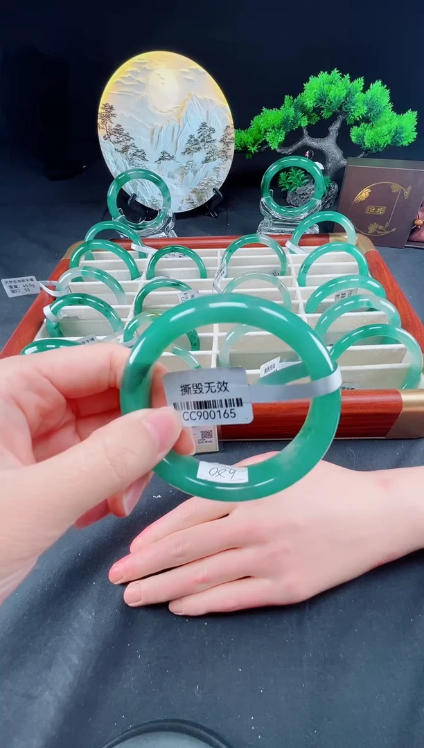 未镶嵌手镯石英质玉（非洲翠）真品上等纯天然非洲翠玉手镯石英质玉