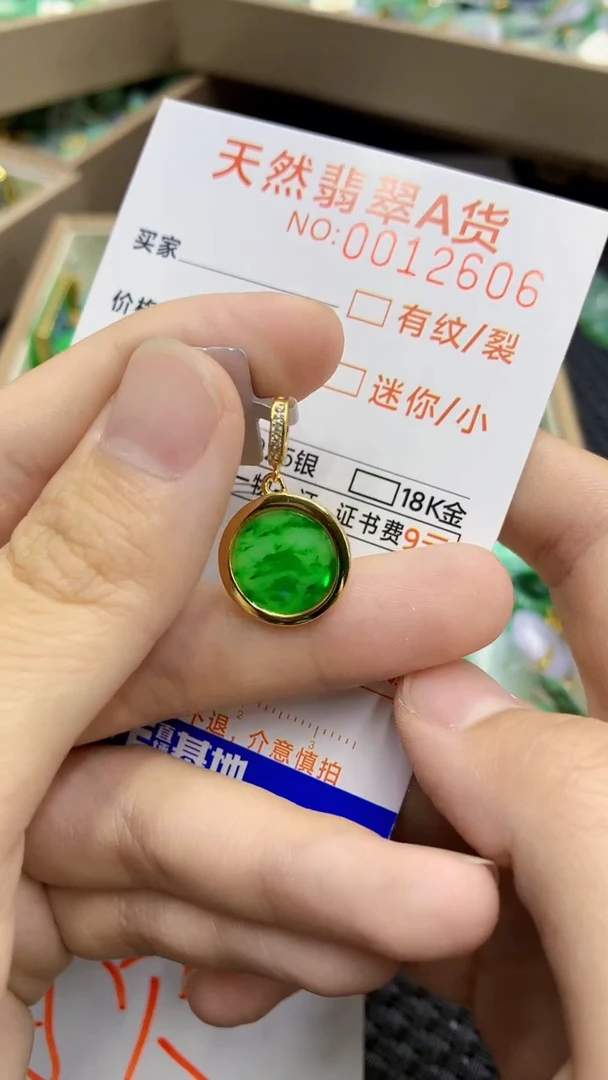 翡翠未镶嵌颈饰             1