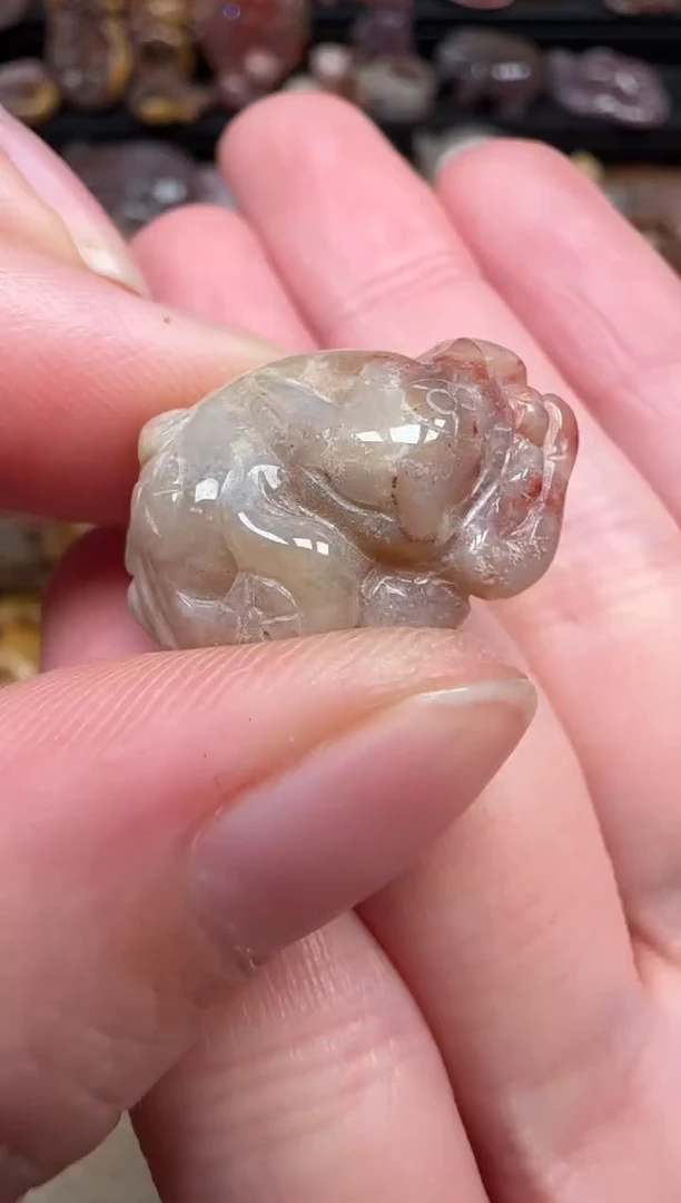 颈饰未镶嵌硅化珊瑚（珊瑚玉）776