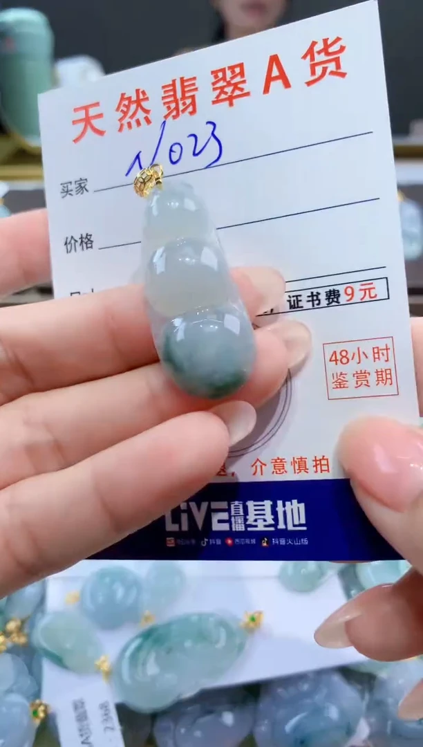 颈饰未镶嵌翡翠天然翡翠A货挂件