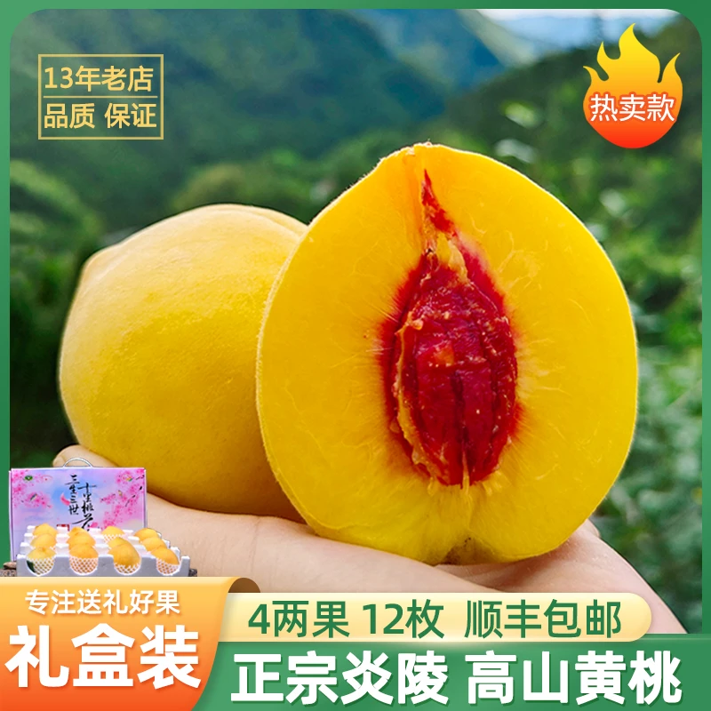 【发顺丰】炎陵高山黄桃 脆冠梨 黄金奈李  芙蓉李 水果 现摘现发