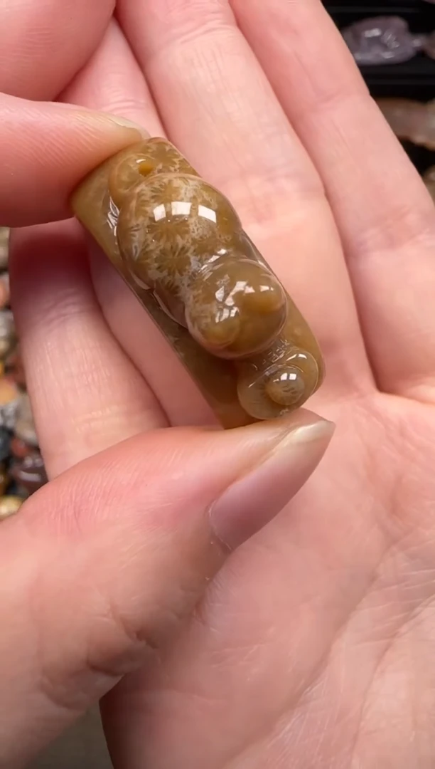 硅化珊瑚（珊瑚玉）未镶嵌颈饰613