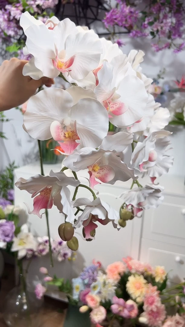 2枝白色9头蝴蝶兰