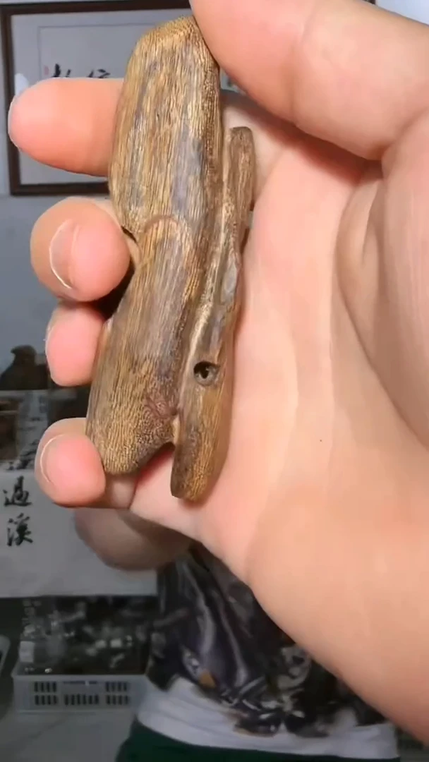 沉香摆件a17号沉水20g多样性发一