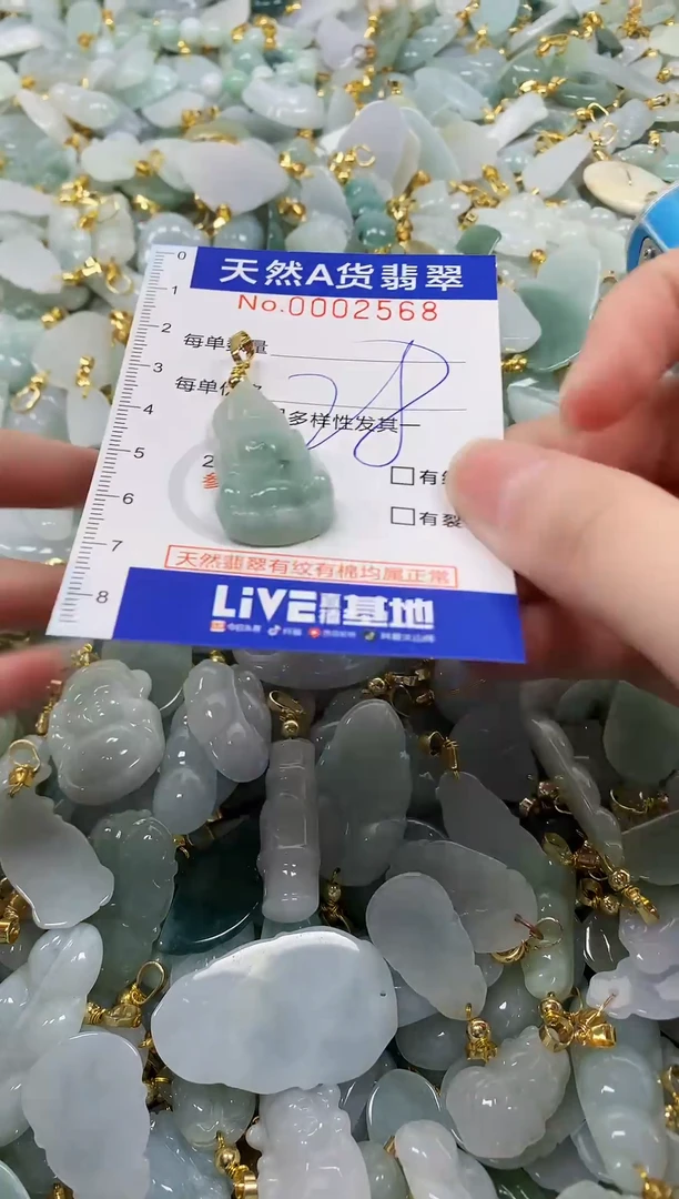 颈饰未镶嵌翡翠纯天然a货翡翠