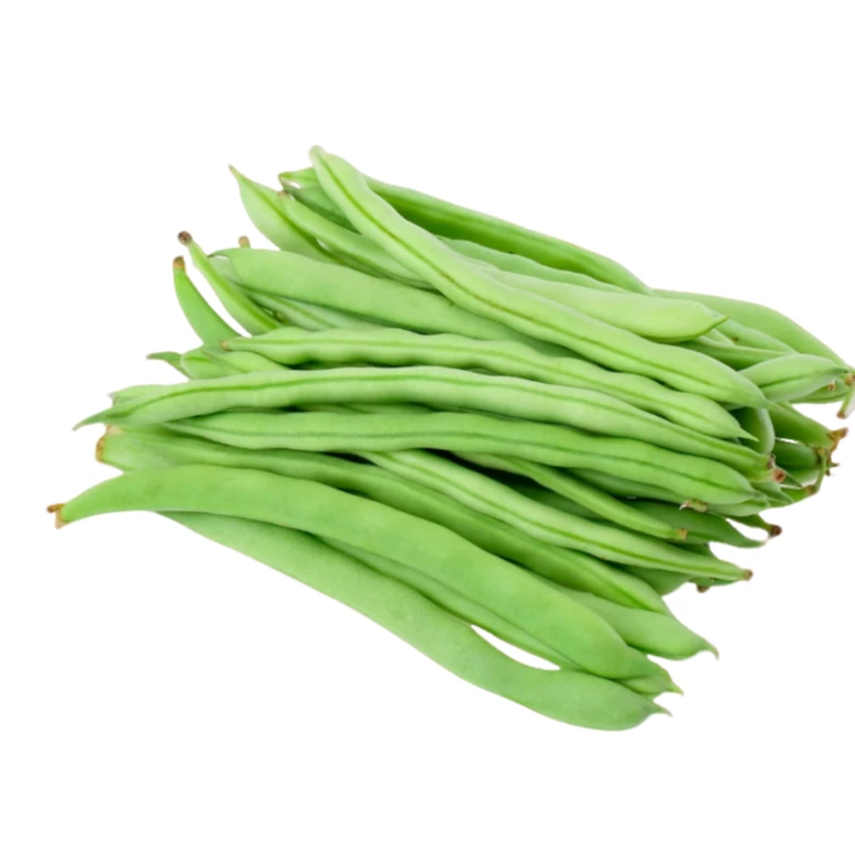 来自云南原产区正宗新鲜农家四季豆小金豆角现摘蔬新鲜脆嫩